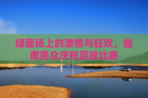 绿茵场上的激情与狂欢,越南民众庆祝足球比赛