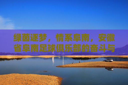 绿茵逐梦,情系阜南,安徽省阜南足球俱乐部的奋斗与荣光