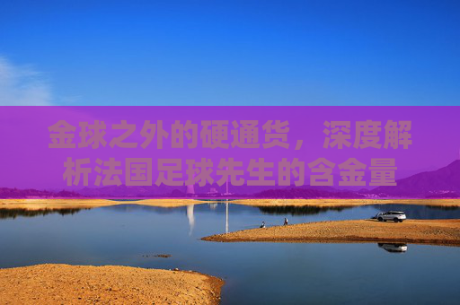 金球之外的硬通货,深度解析法国足球先生的含金量