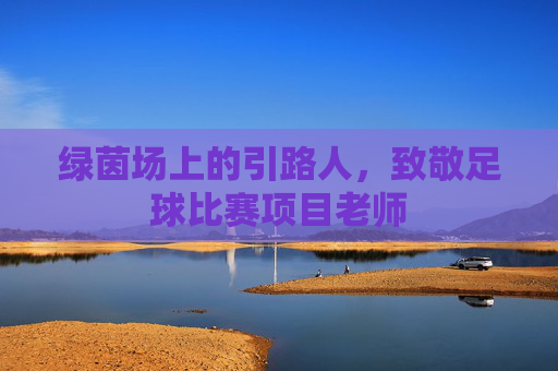 绿茵场上的引路人,致敬足球比赛项目老师