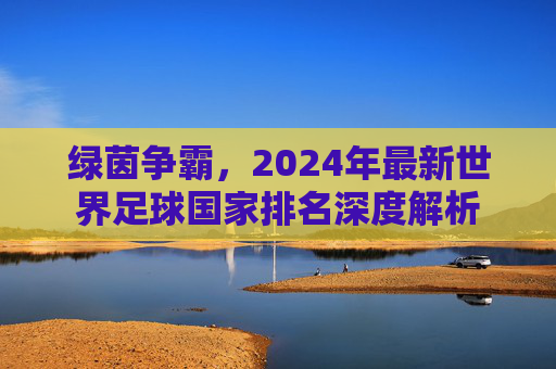 绿茵争霸,2024年最新世界足球国家排名深度解析