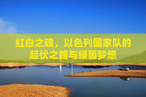 红白之魂,以色列国家队的起伏之路与绿茵梦想