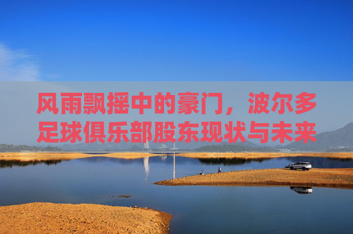 风雨飘摇中的豪门，波尔多足球俱乐部股东现状与未来博弈