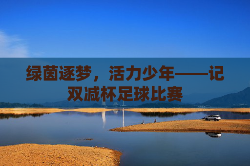 绿茵逐梦，活力少年——记双减杯足球比赛