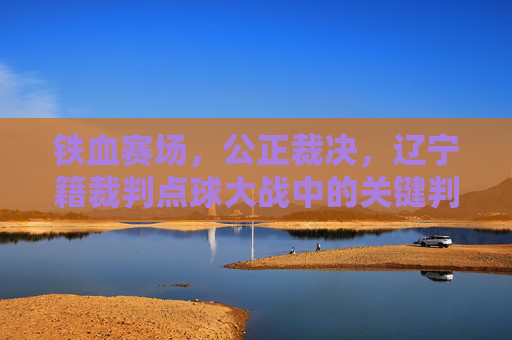 铁血赛场,公正裁决,辽宁籍裁判点球大战中的关键判罚回顾