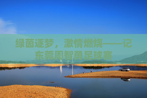 绿茵逐梦,激情燃烧——记东莞周智勇足球赛