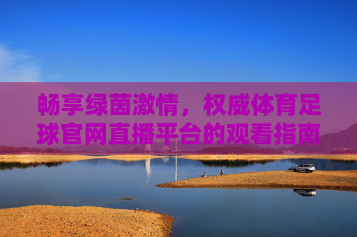 畅享绿茵激情,权威体育足球官网直播平台的观看指南与体验