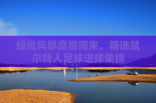 绿色风暴席卷而来，精选凯尔特人足球进球集锦