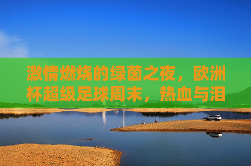 激情燃烧的绿茵之夜,欧洲杯超级足球周末,热血与泪水交织的狂欢