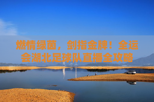 燃情绿茵,剑指金牌!全运会湖北足球队直播全攻略
