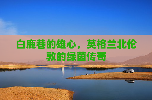 白鹿巷的雄心，英格兰北伦敦的绿茵传奇