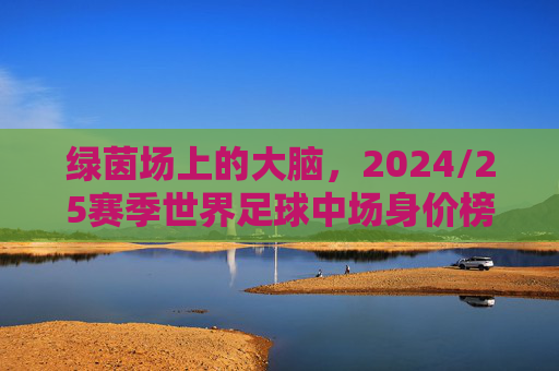绿茵场上的大脑，2024/25赛季世界足球中场身价榜单深度解析