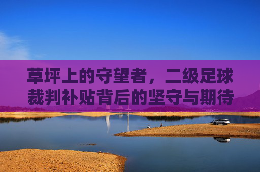 草坪上的守望者，二级足球裁判补贴背后的坚守与期待