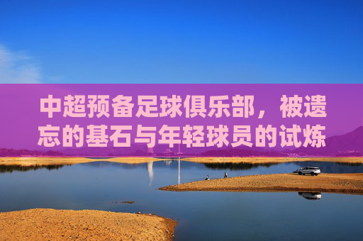 中超预备足球俱乐部,被遗忘的基石与年轻球员的试炼场