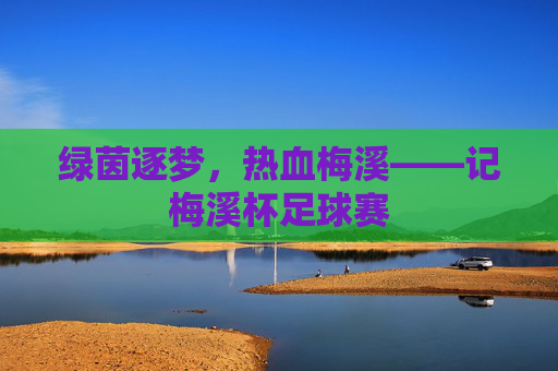 绿茵逐梦,热血梅溪——记梅溪杯足球赛