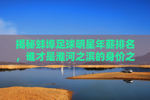 揭秘蚌埠足球明星年薪排名,谁才是淮河之滨的身价之王?