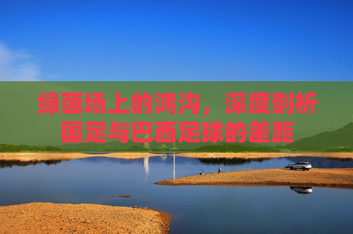 绿茵场上的鸿沟,深度剖析国足与巴西足球的差距