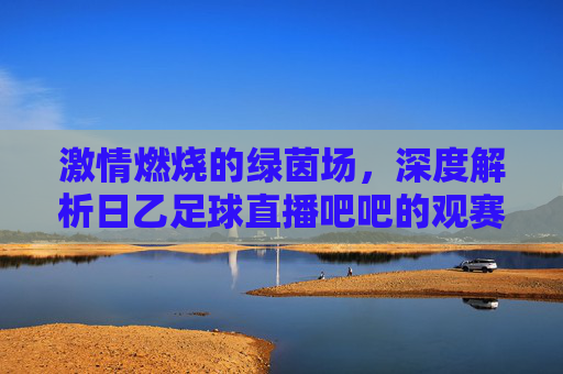 激情燃烧的绿茵场，深度解析日乙足球直播吧吧的观赛体验