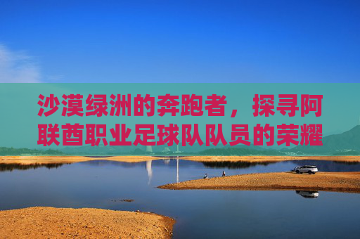 沙漠绿洲的奔跑者,探寻阿联酋职业足球队队员的荣耀与汗水