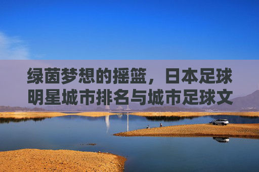 绿茵梦想的摇篮,日本足球明星城市排名与城市足球文化深度解析