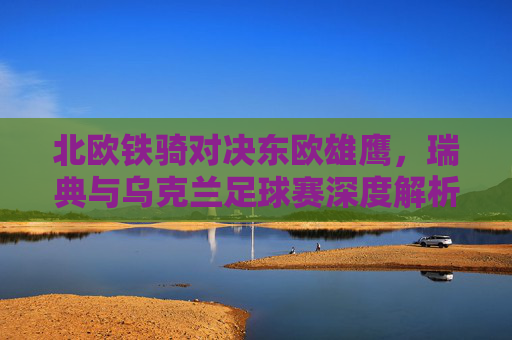 北欧铁骑对决东欧雄鹰,瑞典与乌克兰足球赛深度解析