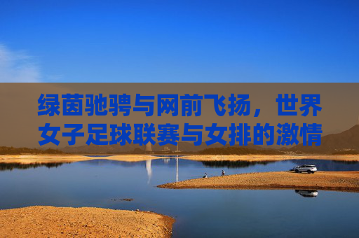 绿茵驰骋与网前飞扬,世界女子足球联赛与女排的激情交响