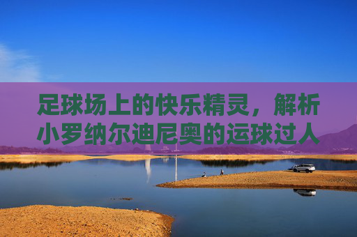 足球场上的快乐精灵,解析小罗纳尔迪尼奥的运球过人艺术