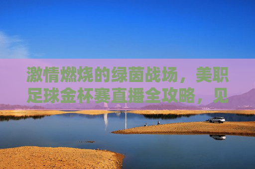 激情燃烧的绿茵战场,美职足球金杯赛直播全攻略,见证冠军时刻