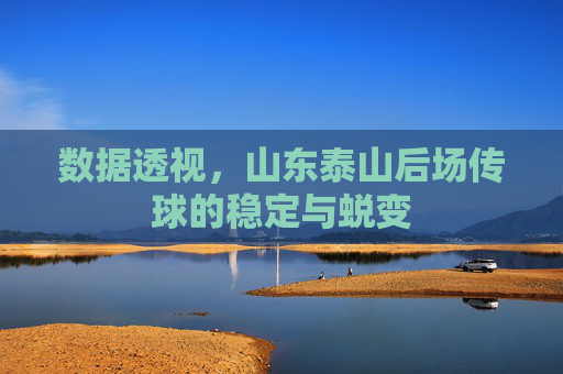 数据透视,山东泰山后场传球的稳定与蜕变