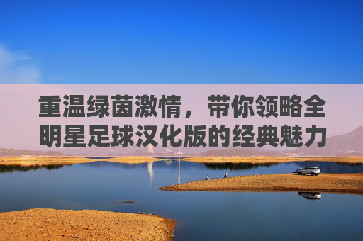 重温绿茵激情，带你领略全明星足球汉化版的经典魅力