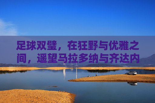 足球双璧,在狂野与优雅之间,遥望马拉多纳与齐达内