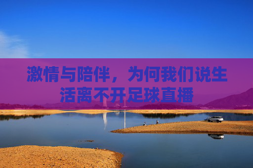 激情与陪伴,为何我们说生活离不开足球直播