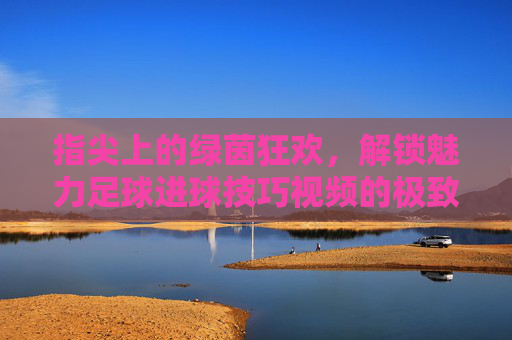 指尖上的绿茵狂欢，解锁魅力足球进球技巧视频的极致魅力