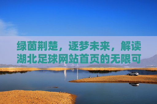 绿茵荆楚,逐梦未来,解读湖北足球网站首页的无限可能