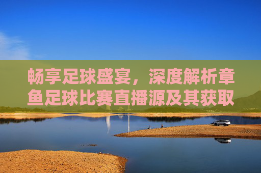 畅享足球盛宴，深度解析章鱼足球比赛直播源及其获取方式