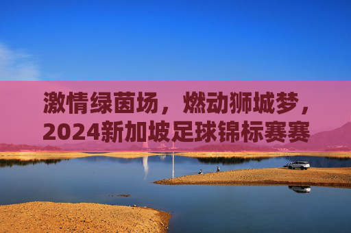 激情绿茵场，燃动狮城梦，2024新加坡足球锦标赛赛程全解析