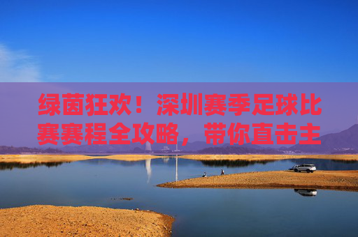 绿茵狂欢！深圳赛季足球比赛赛程全攻略，带你直击主场激情