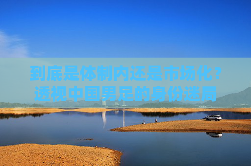 到底是体制内还是市场化？透视中国男足的身份迷局