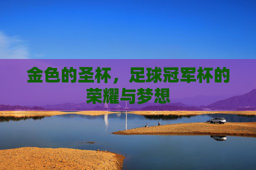 金色的圣杯，足球冠军杯的荣耀与梦想