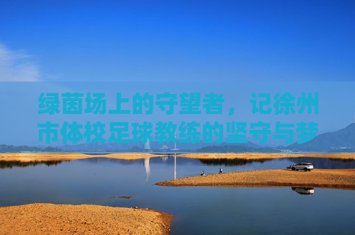 绿茵场上的守望者,记徐州市体校足球教练的坚守与梦想