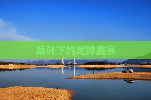草叶下的足球盛宴