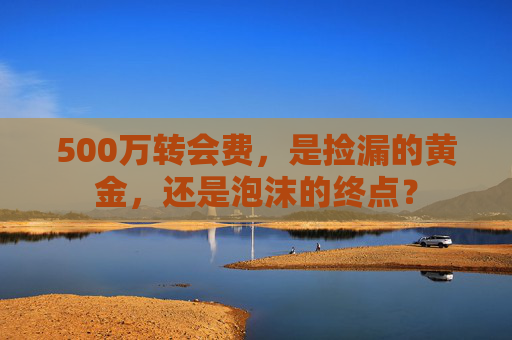 500万转会费，是捡漏的黄金，还是泡沫的终点？