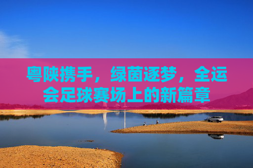 粤陕携手，绿茵逐梦，全运会足球赛场上的新篇章
