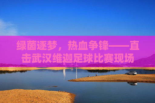 绿茵逐梦，热血争锋——直击武汉维迦足球比赛现场