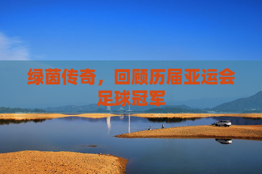 绿茵传奇，回顾历届亚运会足球冠军