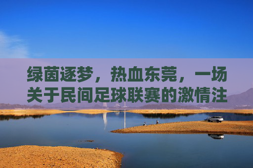 绿茵逐梦,热血东莞,一场关于民间足球联赛的激情注脚