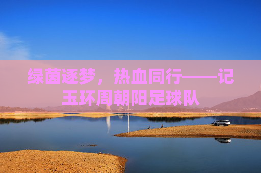绿茵逐梦，热血同行——记玉环周朝阳足球队