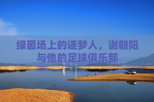 绿茵场上的逐梦人，谢朝阳与他的足球俱乐部