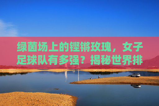 绿茵场上的铿锵玫瑰,女子足球队有多强?揭秘世界排名背后的实力