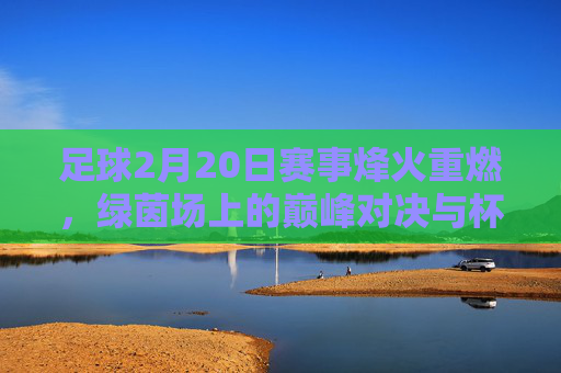 足球2月20日赛事烽火重燃,绿茵场上的巅峰对决与杯赛激战